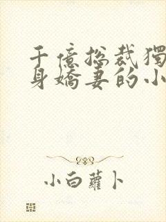 千亿总裁独宠替身娇妻的小说