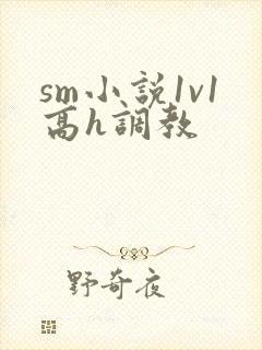 sm小说1v1高h调教