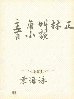 主角叫林正的所有小说