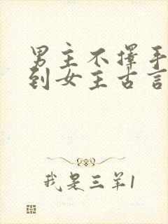 男主不择手段得到女主古言