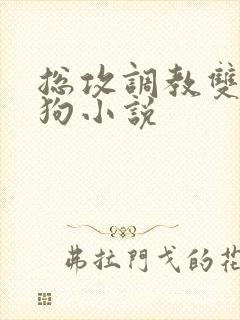 总攻调教双性母狗小说