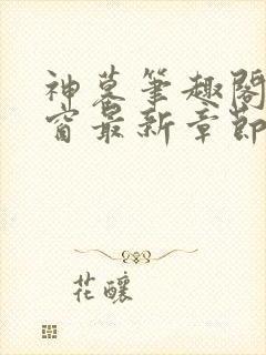 神墓笔趣阁无弹窗最新章节封面