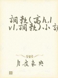 调教(高h,1v1,调教)小说