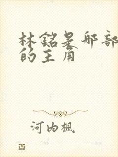 林铭是哪部小说的主角