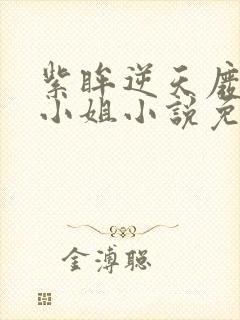 紫眸逆天废柴大小姐小说免费阅