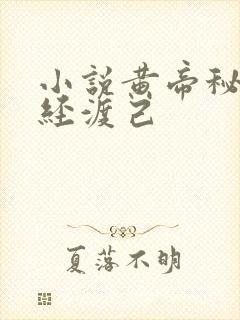小说黄帝秘藏诵经渡己