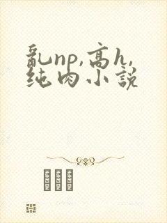 乱np,高h,纯肉小说