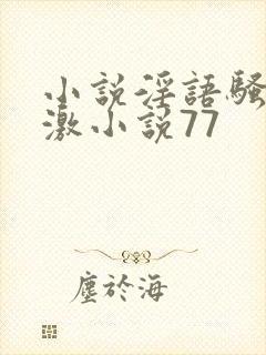 小说淫语骚话刺激小说77