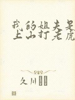 我的姐夫是太子上山打老虎额 小说