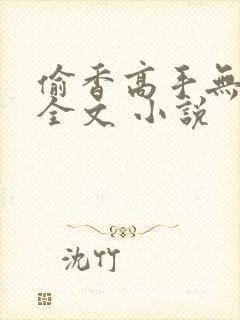 偷香高手无删减全文 小说