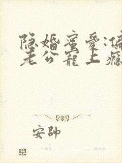 隐婚蜜爱:偏执老公宠上瘾下载全本txt