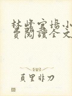 林峰官场小说免费阅读全文最新章节下载