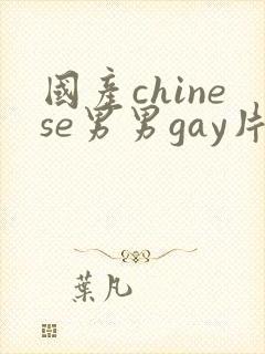国产chinese男男gay片网站