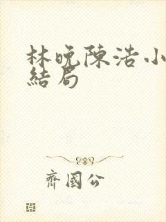 林晚陈浩小说大结局