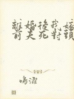 离婚后我嫁给了前夫死对头电子书免费看