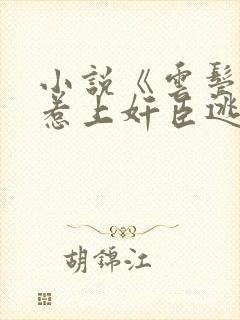 小说《云鬓乱:惹上奸臣逃不掉》