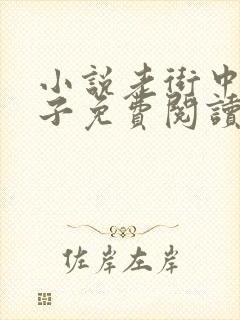 小说老街中的痞子免费阅读封面