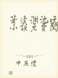 萧清渊沈晚棠的小说免费阅读封面