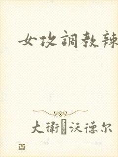 女攻调教辣文