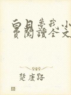 白日梦我小说免费阅读全文无删减