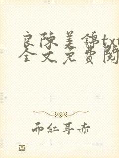 良陈美锦txt全文免费阅读封面