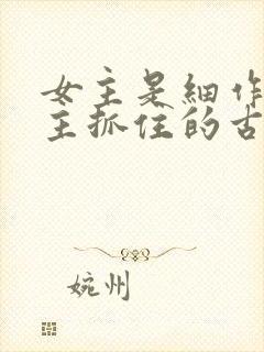 女主是细作被男主抓住的古言