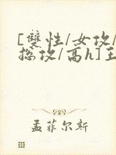 [双性/女攻/总攻/高h]王室yi