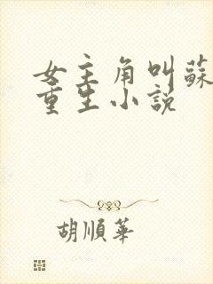 女主角叫苏婉的重生小说封面