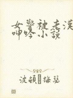 女警被老汉耸动呻吟小说封面