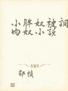 小胖奴被调教成肉奴小说