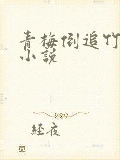 青梅倒追竹马的小说封面