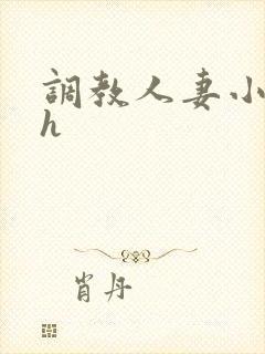 调教人妻小说高h封面