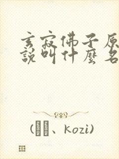 玄寂佛子原著小说叫什么名字封面