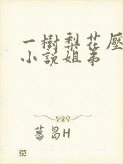 一树梨花压海棠小说姐弟