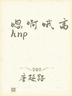 嗯 啊 哦 高hnp封面