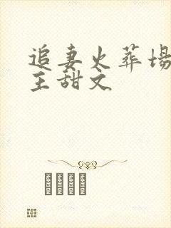 追妻火葬场双男主甜文