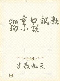 sm重口调教母狗小说封面