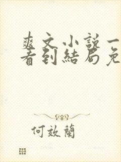 爽文小说一口气看到结局免费