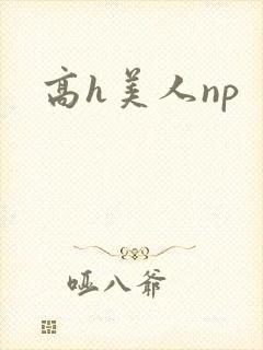 高h美人np