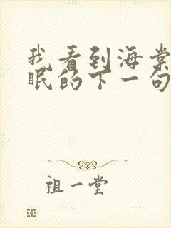 我看到海棠花未眠的下一句封面