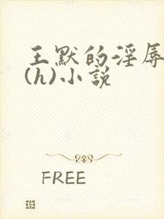 王默的淫辱日记(h)小说