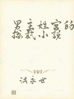 男主姓宫的现代总裁小说封面