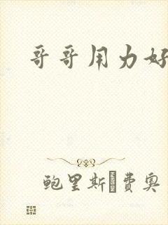 哥哥用力好爽啊封面