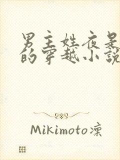 男主姓夜是魔帝的穿越小说