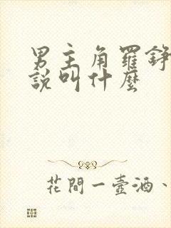 男主角罗铮的小说叫什么