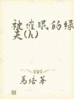 被催眠的绿帽夫夫(h)