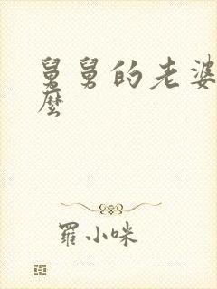 舅舅的老婆叫什么封面