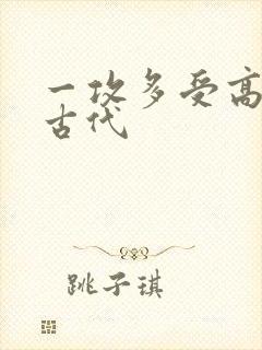 一攻多受高h文古代封面