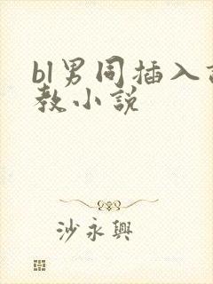 bl男同插入调教小说