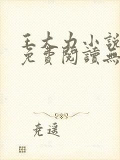 王大力小说小说免费阅读无弹窗